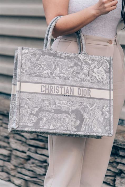 christian Dior book tote dupe